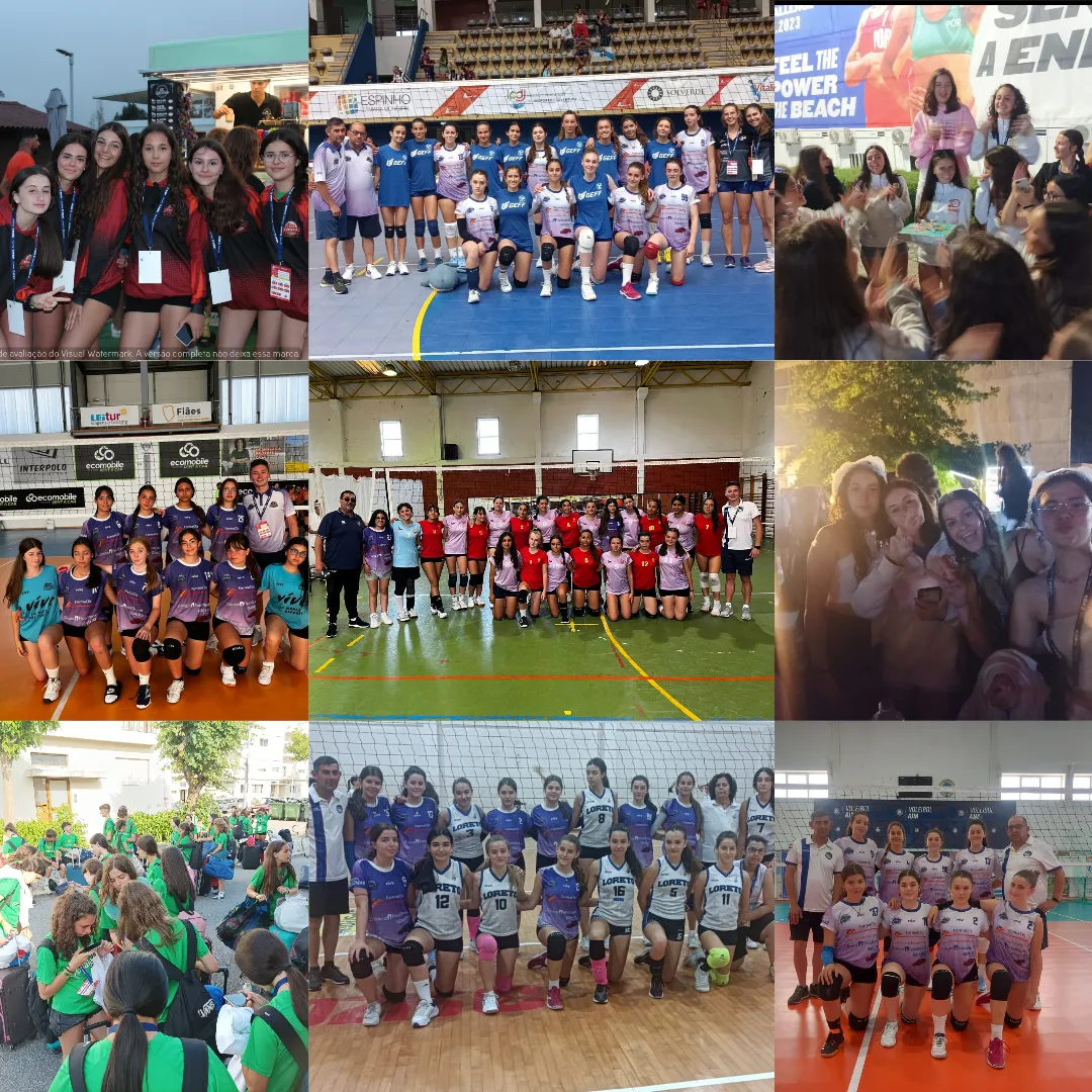 Amb volley cup